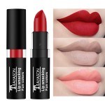 Lipstick Manufacturer - 24 Hours Long Lasting Matte Lip Gloss Cosmetics Kissproof