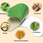 Knee Patch Factory - OEM ODM Nature Herbs Pain Relief Plaster Wormwood Knee Pain Patches