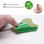 Lumbar Patch Supplier - OEM Nature Herbs Muggwart Patch Pain Relief Plaster Wormwood 12Pcs