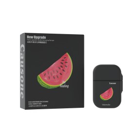 Nasal Passage Supplier - Safe Natural Plant Essence Relaxing Clearing Mind Two-hole Inhaler