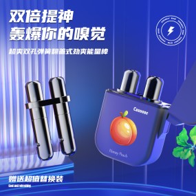 Refreshing Inhaler Supplier - Upgraded Plant Essential Flip-top Matte Shell High-quality