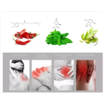 Joint Pain Plaster Supplier - Hot Plaster for Joint Pain Relief Knee Shoulder Back Arthritis