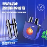 Nasal Passage Supplier - Safe Natural Plant Essence Relaxing Clearing Mind Two-hole Inhaler
