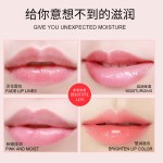 Lip Care Manufacturer - New Arrival Honey Hyaluronic Acid Moisturizing 20pcs/Box Gentle