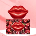 Lip Care Manufacturer - New Arrival Honey Hyaluronic Acid Moisturizing 20pcs/Box Gentle