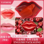 Lip Mask Supplier - Improve Moisturizing Lips 20pcs/Box Plant Essence Cherry Collagen