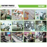 Shoe Deodorizing Sticker Manufacturer - Bacteriostatic Odor Removal Sheet