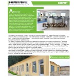 Anti-Wrinkle Patch Manufacturer - Custom Silicon Forehead Neck