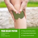 Pain Relief Patch Factory - Natural Wormwood Herbal Warm