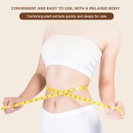 Slimming Tummy Patch Factory - 30pcs Natural Herbal Abdominal
