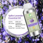 Lavender Oil Manufacturer - Manufacturer Wholesale Bulk Pure Natural Lavender Essential Oil Aroma