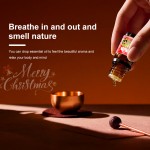 Christmas Oil Set Supplier - OEM/ODM Custom 12-Piece Christmas Essential Oil Set Perfume Oil Kit