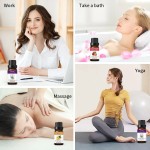 Winter Oil Set Manufacturer - 6-Piece Winter Essential Oil Perfume Set for Home Comfort Aroma