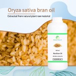 Rice Bran Oil Supplier - Wholesale Price Bulk Pure Natural Organic Rice Bran Oil Cold Pressed