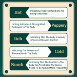 Pain Relief Ointment Supplier - OEM Wholesale Chinese Plaster Tendons Bone Pain Ointment Neuropathy