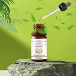 Essential Oil Kit Factory - Autumn Essential Oil Kit Pure Lavender Pear Lemon Cherry Blossom Mint