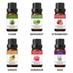 Winter Oil Set Manufacturer - 6-Piece Winter Essential Oil Perfume Set for Home Comfort Aroma