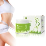Body Slimming Cream Supplier - Professional Body Slimming Massager Cream Abdomen Firming Fat Burning