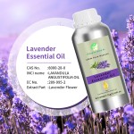 Lavender Oil Factory - Oem/ODM Pure Natural Care Cheap Made China Natural Plant Organic Essential Oil