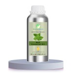 Clove Basil Oil Supplier - Pure Organic Clove Basil Essential Oil Fresh Sweet Odor COA Certified OEM