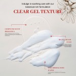 Foaming Cleanser Supplier - Private Label pH Balanced Foaming Cleanser Women's Vaginal Hygiene