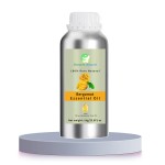 Bergamot Oil Factory - Pure Natural Bergamot Essential Oil 10ml OEM Private Wood Free of Flower