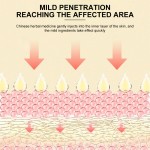 Massage Oil Manufacturer - OEM Wholesale Herbal Body Massage Oil Muscle Pain Inflammation