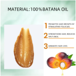 Hair Growth Oil Manufacturer - Batana Organic Refreshing Coconut Argan Herbal Hair Growth Oil Scalp