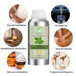 Clove Basil Oil Supplier - Pure Organic Clove Basil Essential Oil Fresh Sweet Odor COA Certified OEM