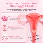 Yoni Wash Gel Manufacturer - Wholesale pH Balanced Boric Acid Feminine Cleanser Intimate Hygiene