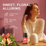 Christmas Oil Set Supplier - OEM/ODM Custom 12-Piece Christmas Essential Oil Set Perfume Oil Kit