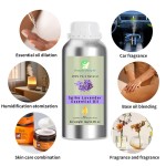 Lavender Oil Manufacturer - Manufacturer Wholesale Bulk Pure Natural Lavender Essential Oil Aroma