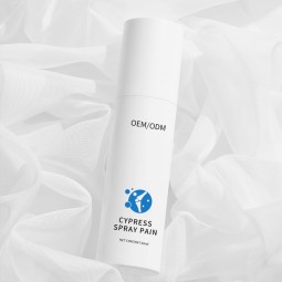 Pain Relief Spray Supplier - Professional Pain Relief Chinese Plaster Quick Relief Herbal Patch