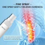 Pain Relief Spray Supplier - Professional Pain Relief Chinese Plaster Quick Relief Herbal Patch