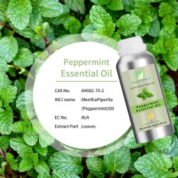 Peppermint Oil Supplier - Pure Peppermint Essential Oil COA Certified Fresh Odor 1kg Roll Moisturizing