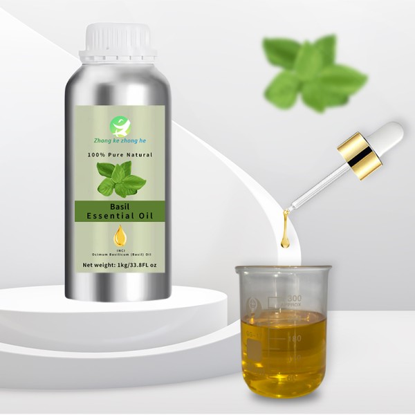 Clove Basil Oil Supplier - Pure Organic Clove Basil Essential Oil Fresh Sweet Odor COA Certified OEM