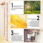 Christmas Gift Set Factory - Custom 24-Bottle Christmas Essential Oil Kit 10ml Amber Bottle Gift