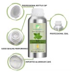 Clove Basil Oil Supplier - Pure Organic Clove Basil Essential Oil Fresh Sweet Odor COA Certified OEM