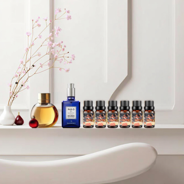 Christmas Gift Set Factory - Custom 24-Bottle Christmas Essential Oil Kit 10ml Amber Bottle Gift