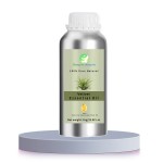 Vetiver Oil Factory - High Quality Customizable Vetiver Essential Oil Liquid Hair Care Skin Cleansing