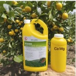 Medium and TE Water-soluble Fertilizer Ca Mg B Zn Fe Anti Cracking Fruit