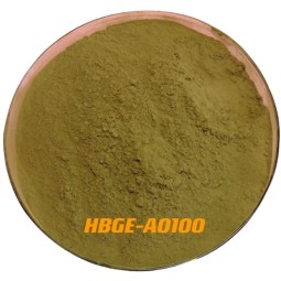 Aspergillus Oryzae