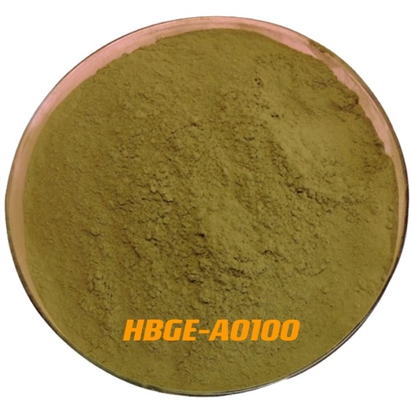 Aspergillus Oryzae
