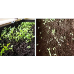 Vermicompost Bio-Organic Fertilizer  Soil Conditioner