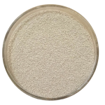 Saccharomyces Cerevisiae Feed Additive Aquaculture