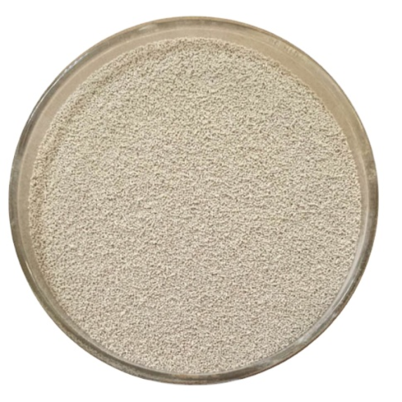 Saccharomyces Cerevisiae Feed Additive Aquaculture