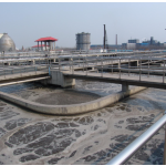 Bacillus Subtilis  Probiotics for Shrimp Reduce AO Nitrite-quick Cleaner in Aquaculture