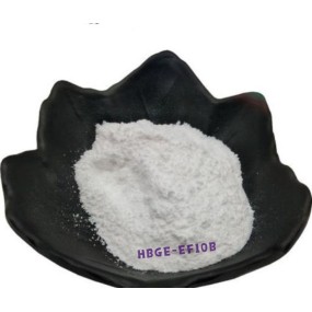 Enterococcus Faecalis Lactic Acid Bacteria