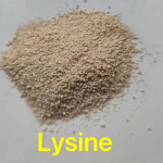 Chicken Feed  Poultry  Improve Egg Production Extend Egg Laying Period
