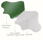 Pain Relief Patch Supplier - Private Label Self-Heating Wormwood Plaster for Lumbar Pain